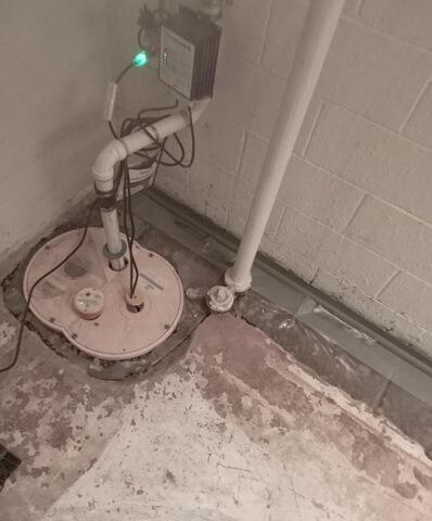 Flint, MI, Basement Rescued from Water and Mold Growth - Before Photo