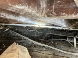 Homeowner with Neglected Crawl Space has CleanSpace Installed in Warren, MI
