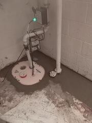 Flint, MI, Basement Rescued from Water and Mold Growth