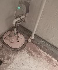 Flint, MI, Basement Rescued from Water and Mold Growth