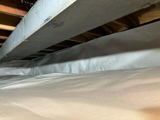Sterling Heights, MI, Home Uses CleanSpace to Stop Pest Residing in the Crawl Space