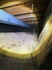Sterling Heights, MI, Home Uses CleanSpace to Stop Pest Residing in the Crawl Space