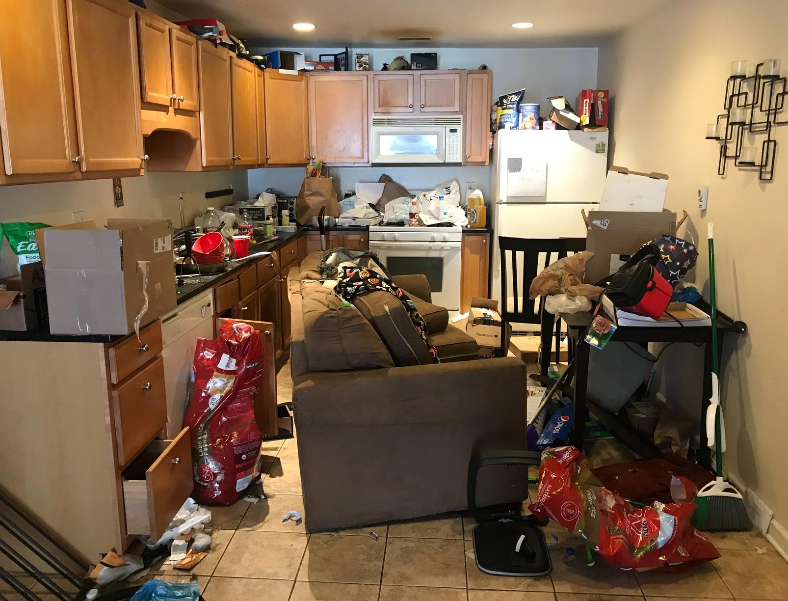 The Junkluggers of Baltimore Before & After Photo Set Apartment junk