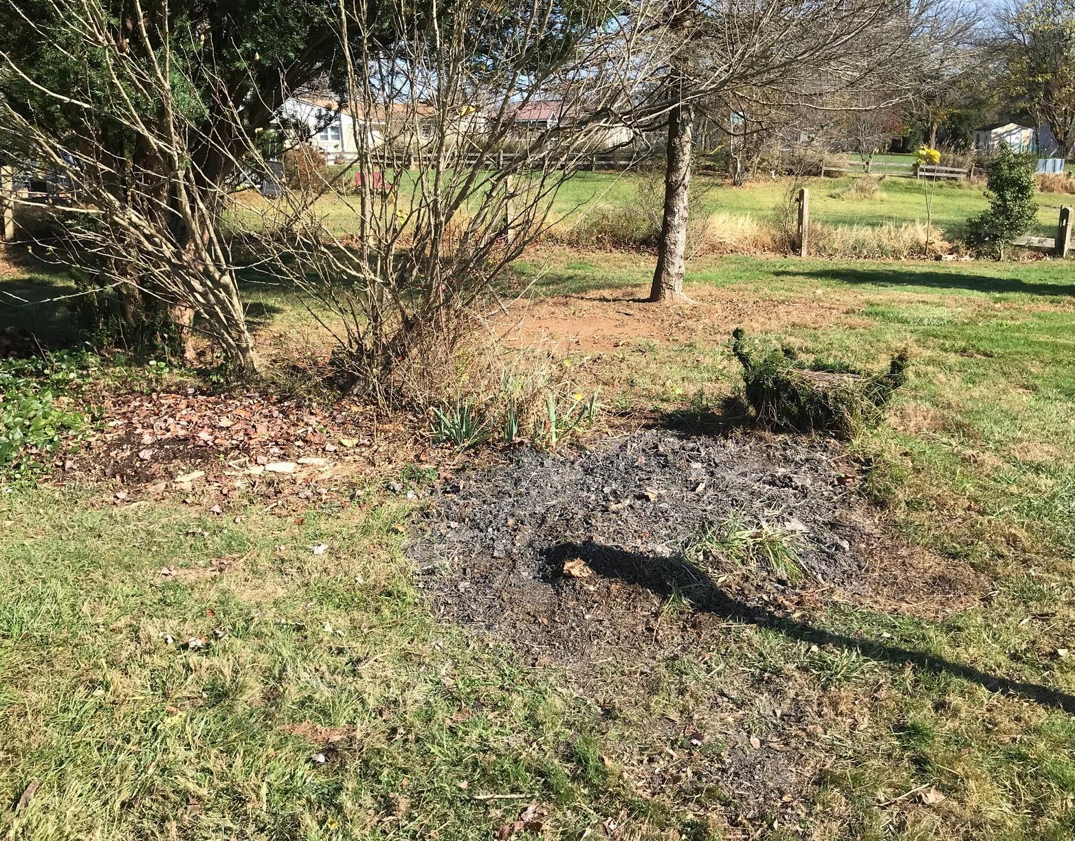 The Junkluggers of Baltimore Yard Debris & Waste Removal Before and