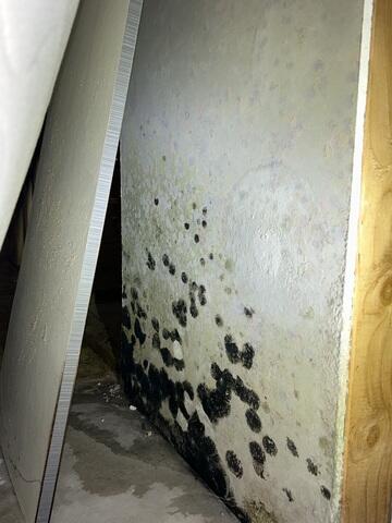 State Farm Insurance Claim: Mold Remediation in Lawrenceville, GA