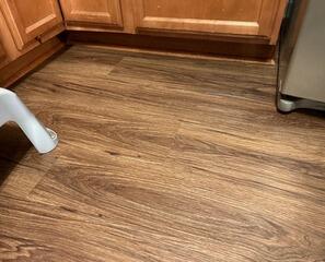 Refrigerator Leak Cleanup in Gillsville, Georgia