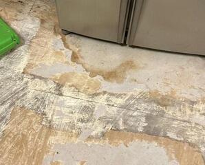 Refrigerator Leak Cleanup in Gillsville, Georgia