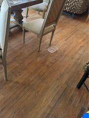 Flooring Moisture Damage Mitigation in Murrayville