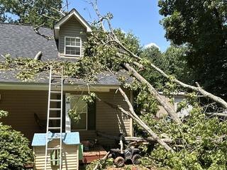 Fallen Tree Damage Restoration in Pendergrass Georgia