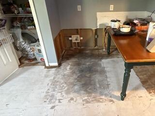 Homeowners Insurance Flooring Restoration in Alto, GA