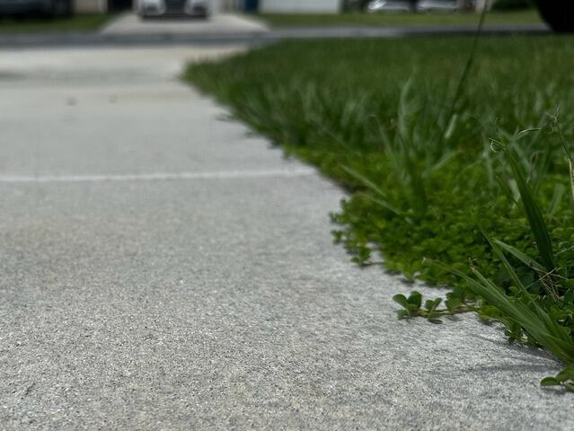 Leveling Concrete Driveway in Spring Hill, Florida