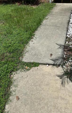 Concrete Walkway Leveling in Mount Dora, Florida