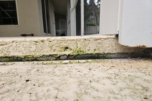 Concrete Pool Deck Leveling in St. Petersburg, Florida