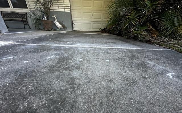 Concrete Driveway Leveling in St. Petersburg, Florida - After Photo