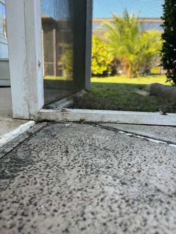Leveling Pool Deck Concrete in Oviedo, Florida - After Photo
