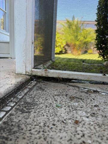 Leveling Pool Deck Concrete in Oviedo, Florida - Before Photo