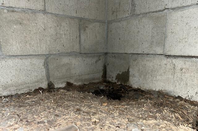 Closing Foundation Wall Cracks in St. Petersburg, FL - After Photo