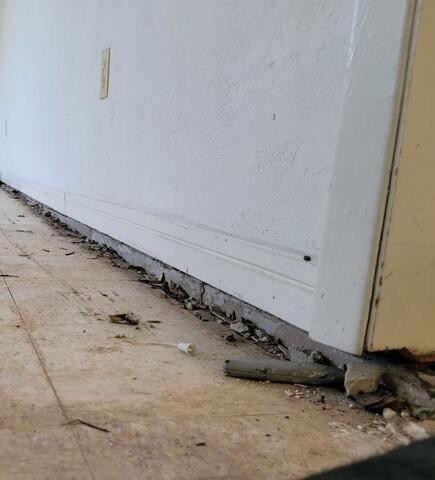 Interior Concrete Slab Leveling and Repair in St. Petersburg, FL