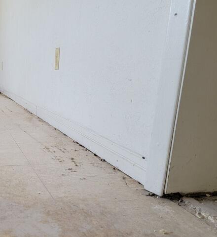 Interior Concrete Slab Leveling and Repair in St. Petersburg, FL