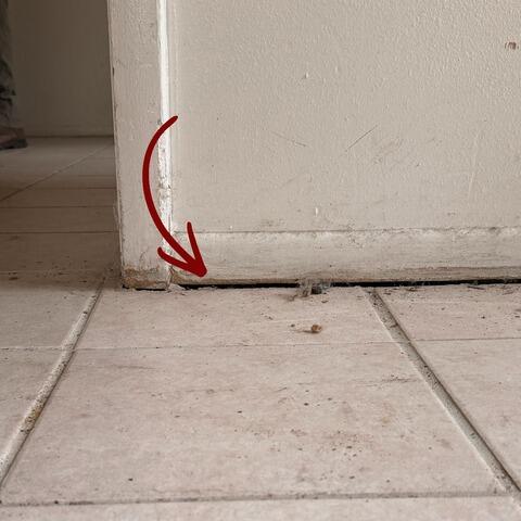 Interior Concrete Slab Lifting & Leveling in Bradenton, FL