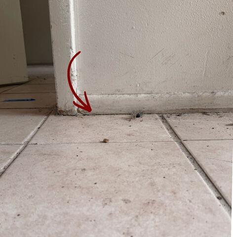 Interior Concrete Slab Lifting & Leveling in Bradenton, FL