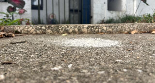 Concrete Walkway Leveling in Winter Park, FL