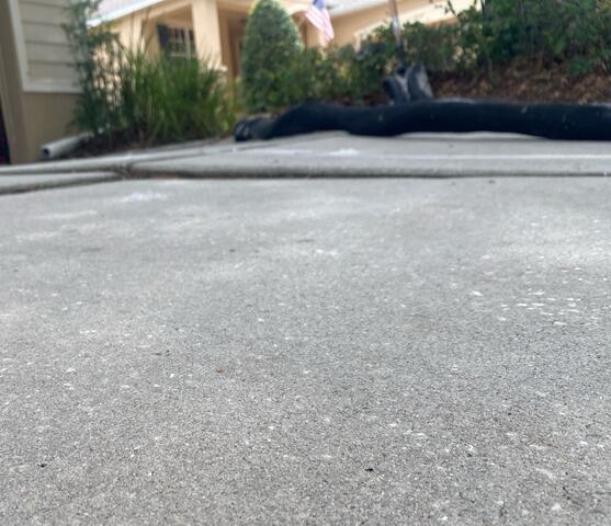 Concrete Driveway Leveling & Repair in Mount Dora, FL