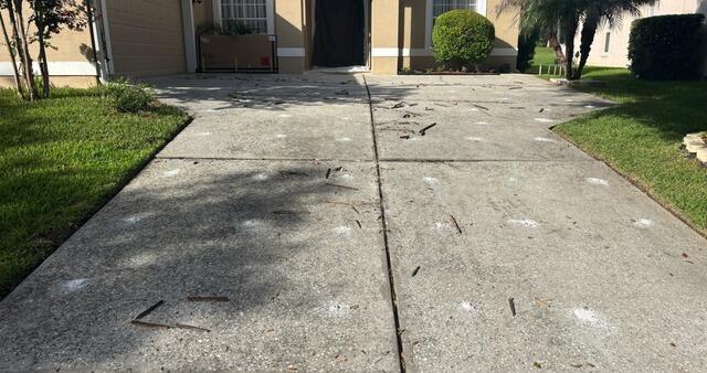 Complete Concrete Driveway Leveling & Repair in Winter Garden, FL