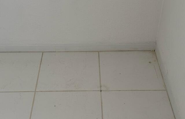 Interior Concrete Slab Leveling in Ormond Beach, FL