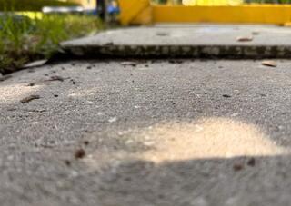 Concrete Sidewalk Leveling in Zephyrhills, Florida
