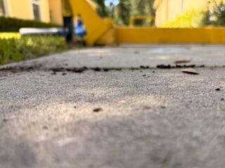 Concrete Sidewalk Leveling in Zephyrhills, Florida