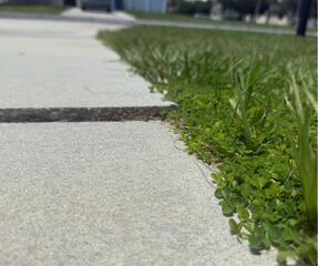 Leveling Concrete Driveway in Spring Hill, Florida