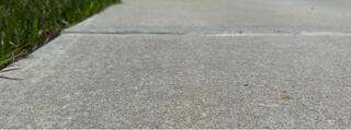 Concrete Trip Hazard Eliminated in Spring Hill, Florida