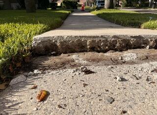 Concrete Sidewalk Leveling in Valrico, Florida