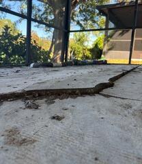 Concrete Patio Repair in Lake Mary, Florida