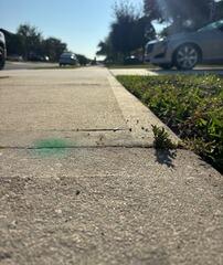 Concrete Sidewalk Leveling in West Melbourne, Florida