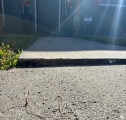 Concrete Walkway Leveling in Sanford, FL