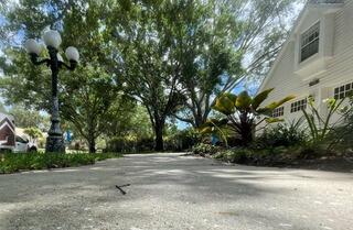 Leveling Concrete Sidewalk in Palm Harbor, FL