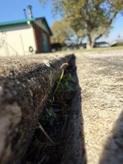 Concrete Driveway Slab Leveling and Repair in Winter Park, FL