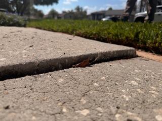 Concrete Walkway Leveling & Repair in Apollo Beach, FL