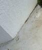 Concrete Sidewalk Leveled & Repaired in North Palm Beach, FL