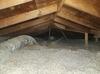 Insulation installment in Plainview, Texas