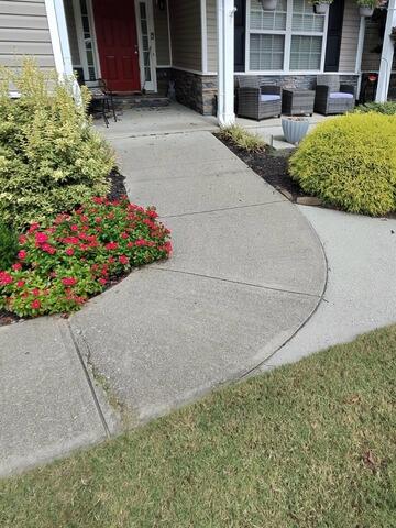 A Fresh Step in the Right Direction: Sidewalk Repair