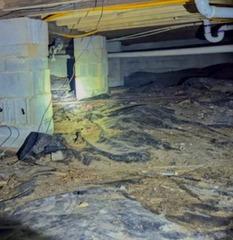 Crawl Space Mold Remediation in Atlanta, GA
