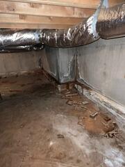 Crawl Space Wall Vapor Barrier System in Roswell, GA