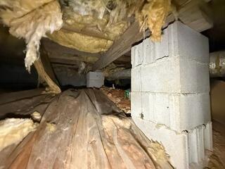 Crawl Space Encapsulation Transformation in Bowdon, Georgia