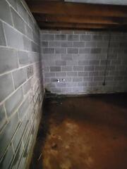 Basement Waterproofing and Stabilization in Roopville, Georgia