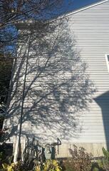 Before and After Exterior Portion