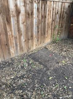 Junk Removal in Fort Worth, TX