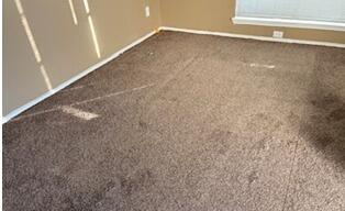 Junk Removal in Fort Worth, TX